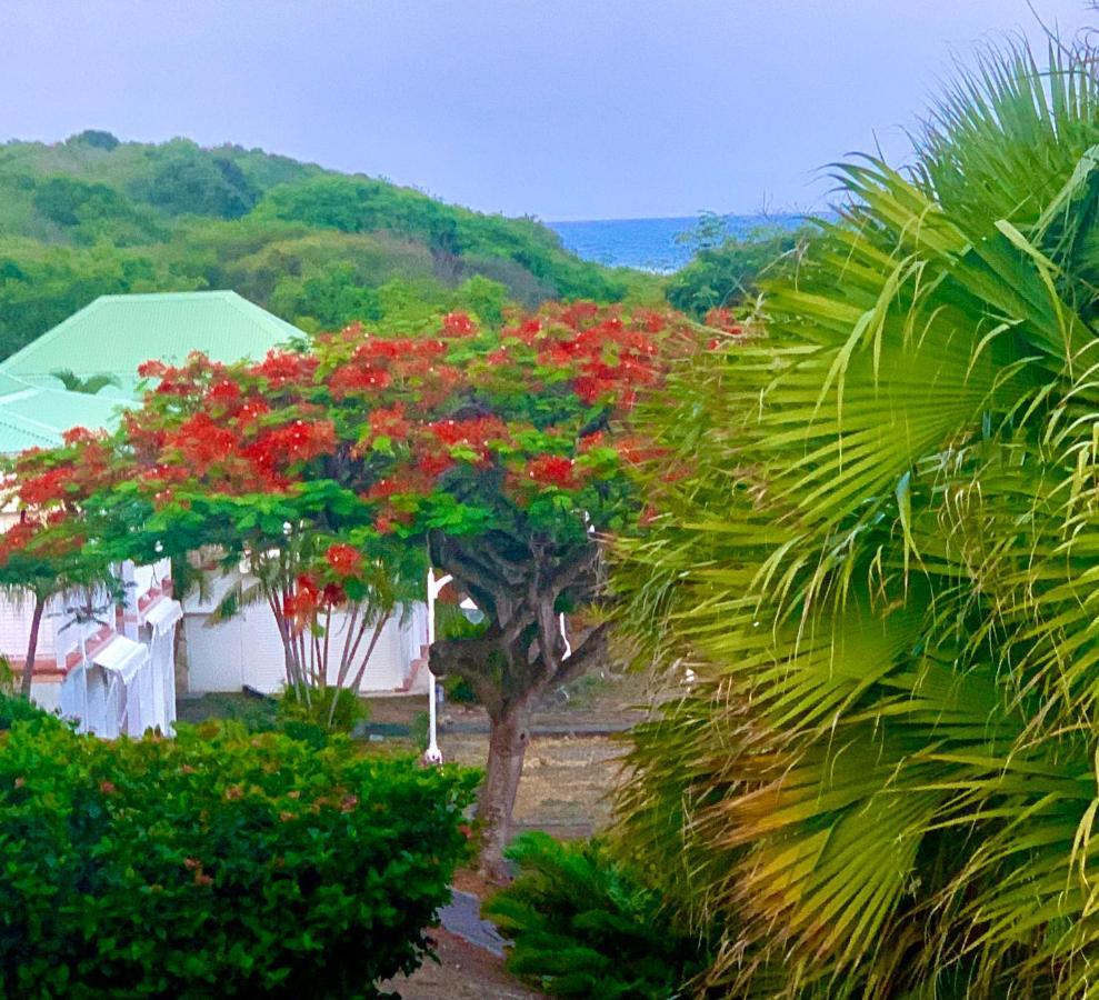Le Titouloulou 1023 Anse Des Rochers Saint-Francois  Ngoại thất bức ảnh